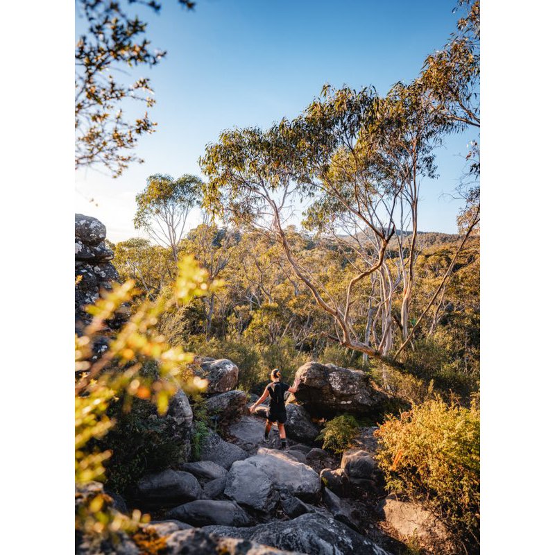 Off Track. Passion Trailrunning (Deutsch)