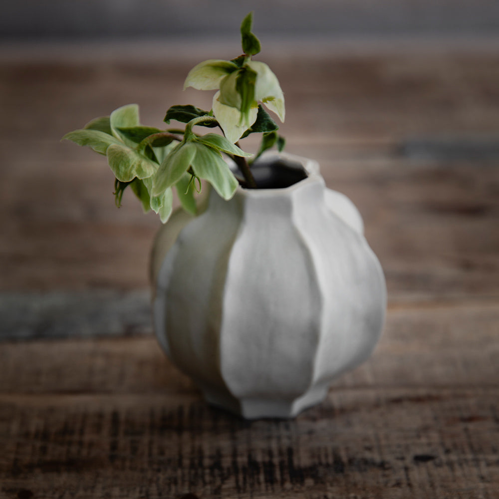 Korallenvase - naturweiß