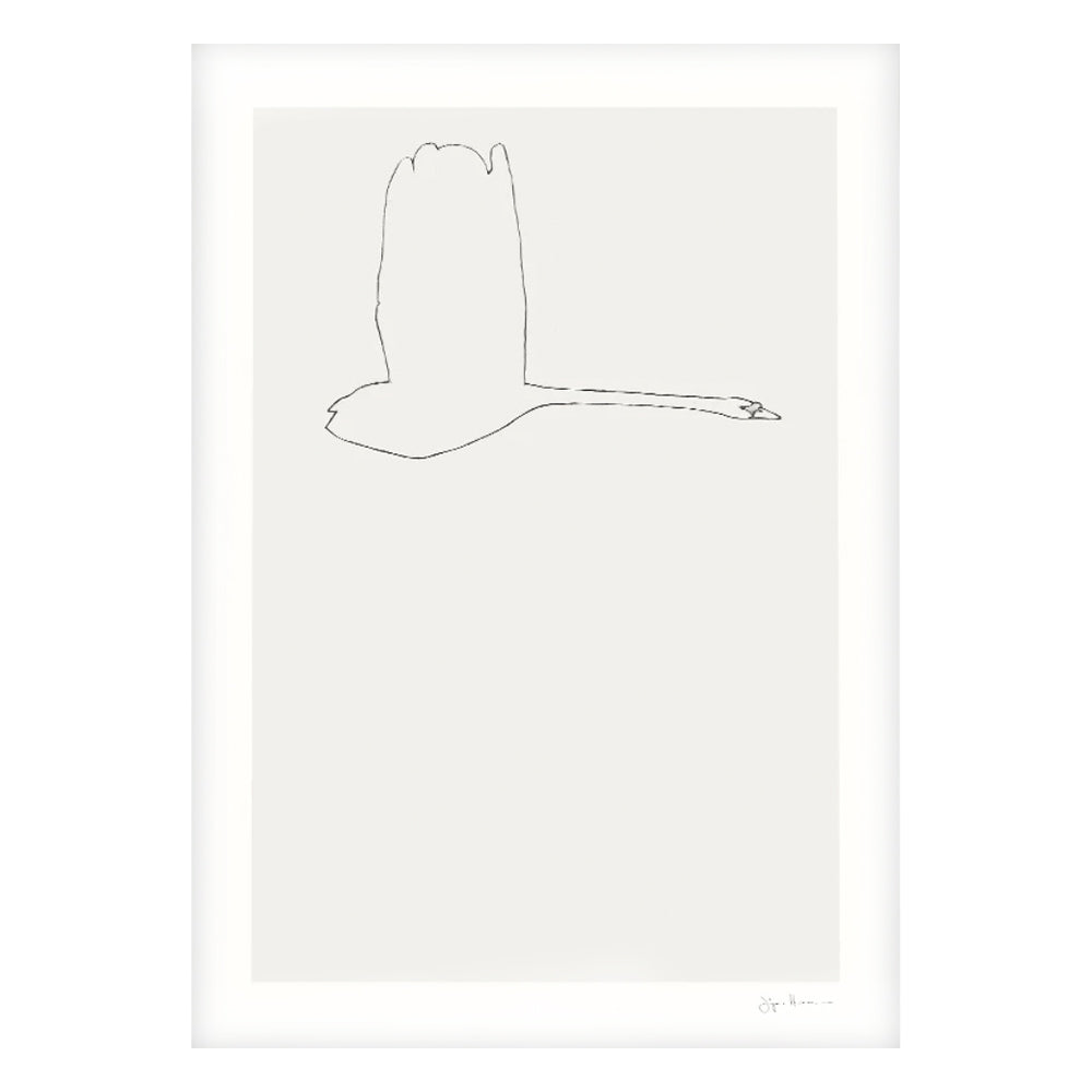 Druck - The Swan II