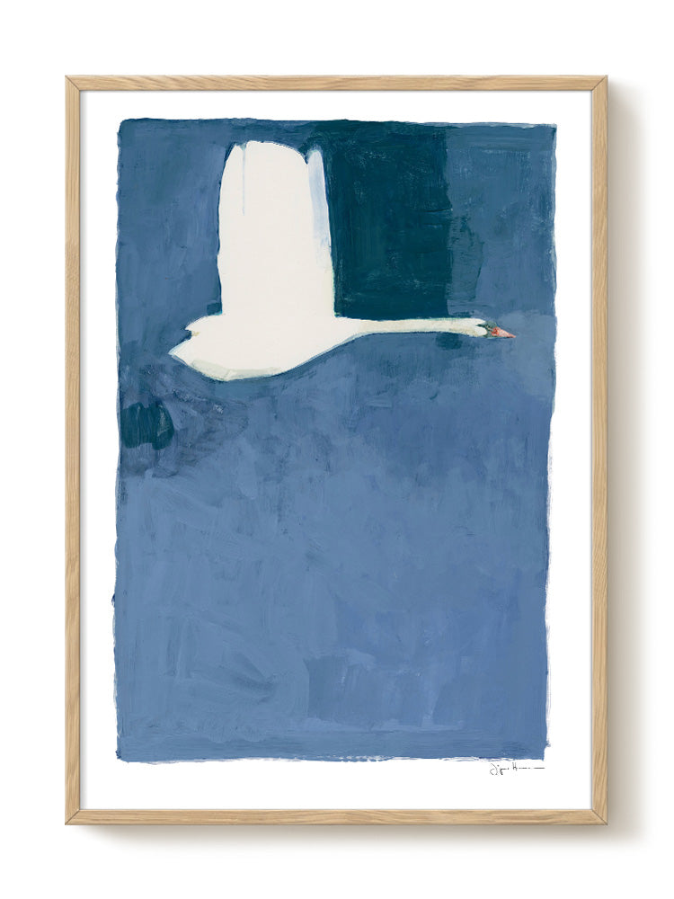 Druck - The Swan
