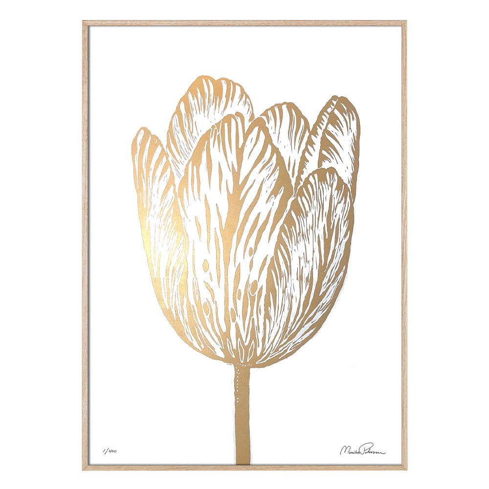 Druck - Rembrandt Tulpe weiß