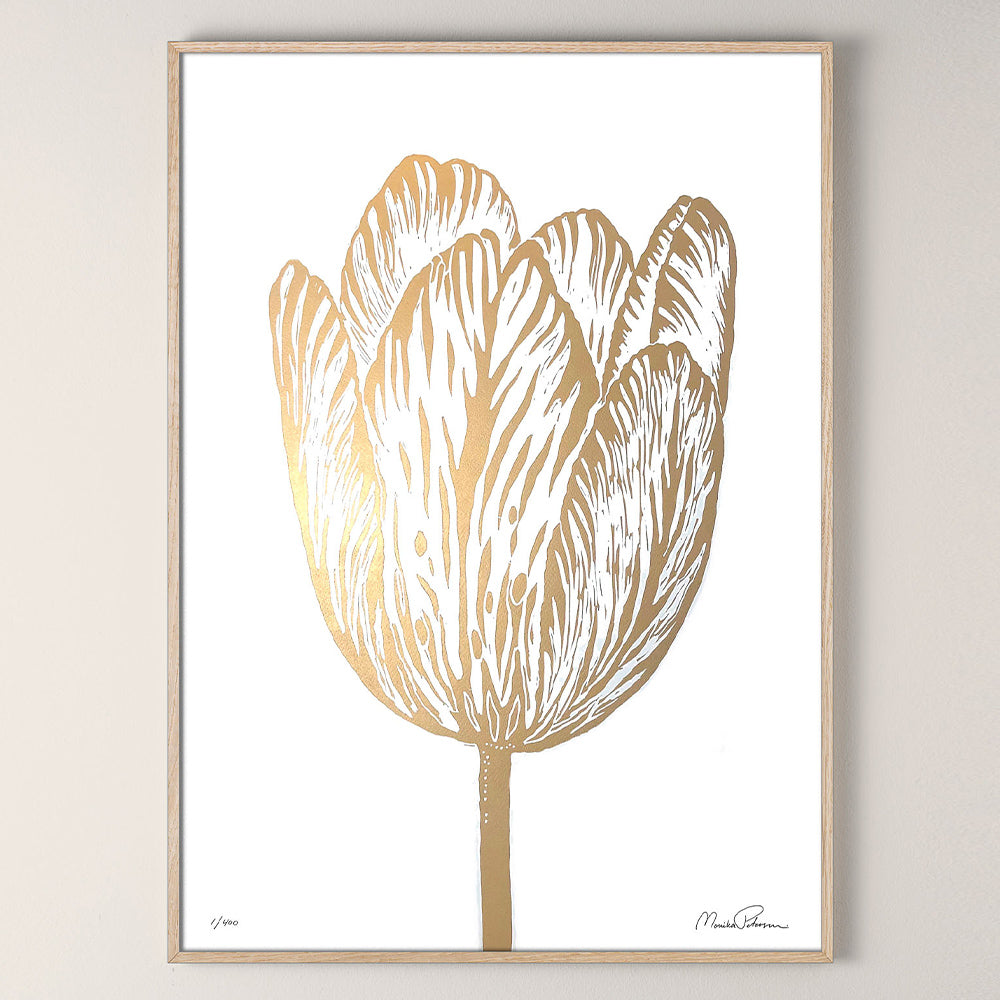 Druck - Rembrandt Tulpe weiß