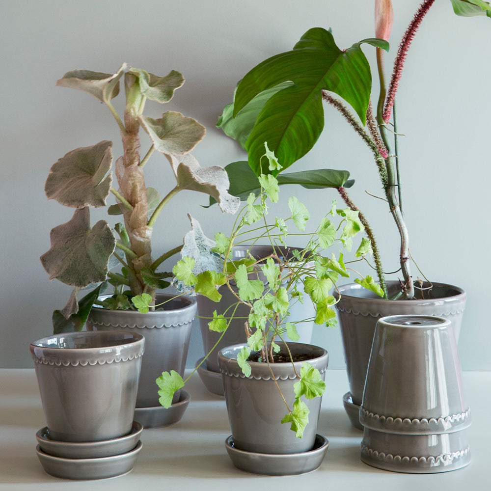 Blumentopf mit Untersetzer - Helena pearl grey