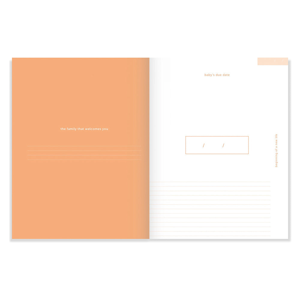 Nine Months Journal