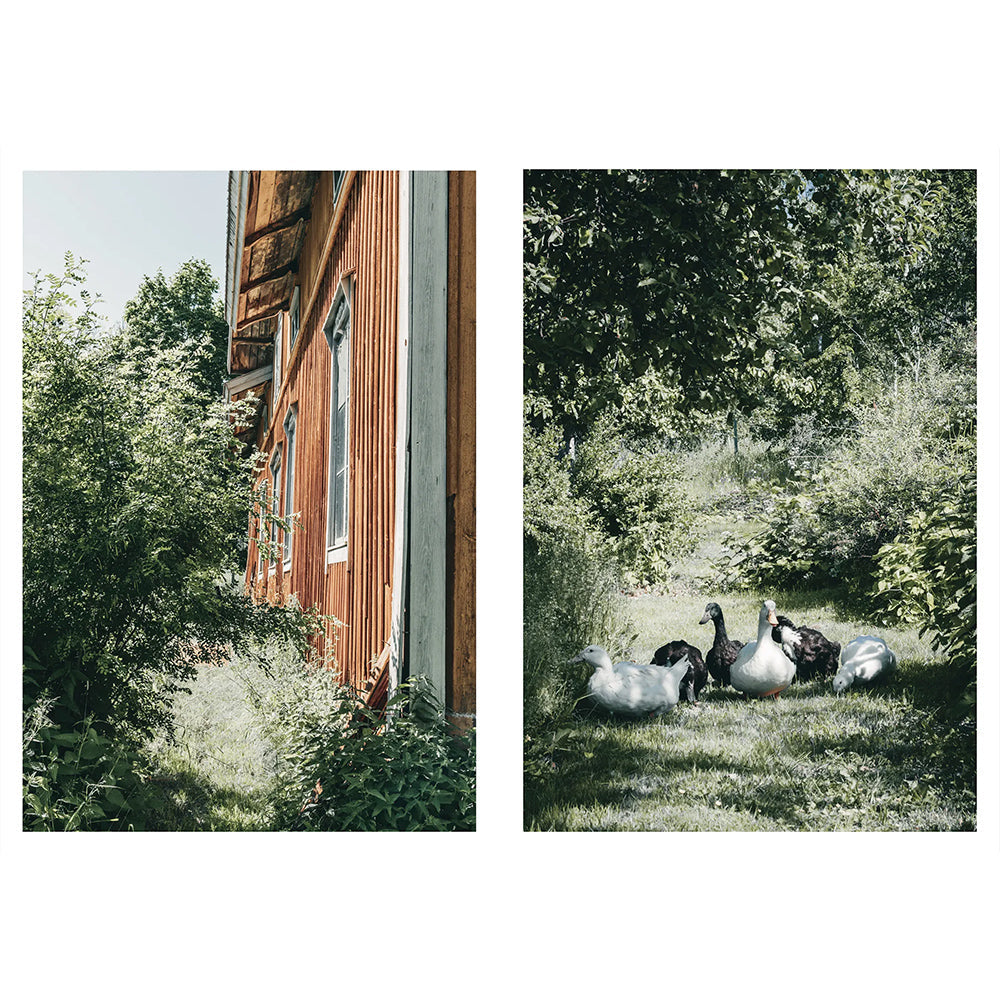 Buch - Nordic Homestead