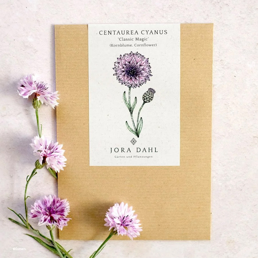 Blumensamen - Centaurea cyanus "Classic Magic" (Kornblume)