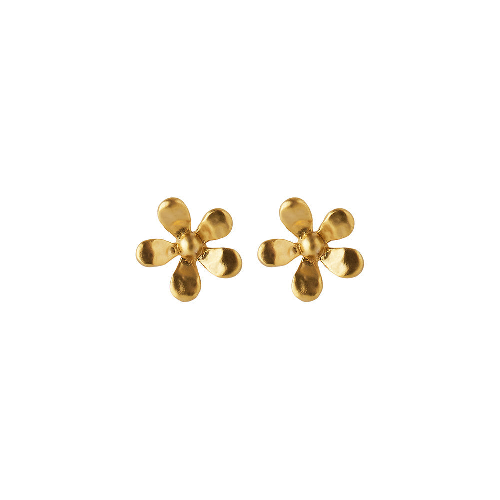 Ohrstecker Wild Poppy - gold