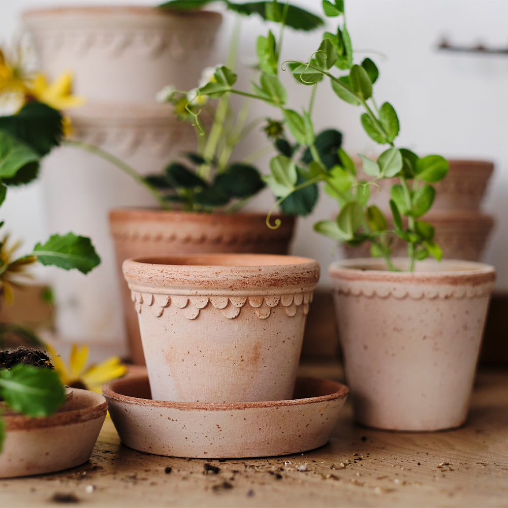 Blumentopf mit Untersetzer - Copenhagen rosa