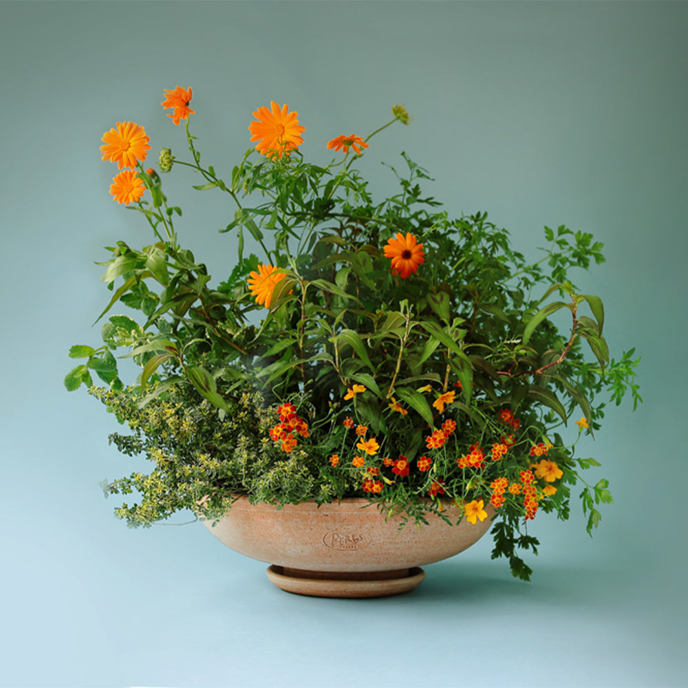 Blumenschale mit Untersetzer Ada - rosa ø 30 cm