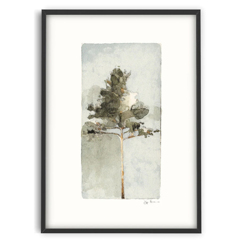 Druck - Pine I