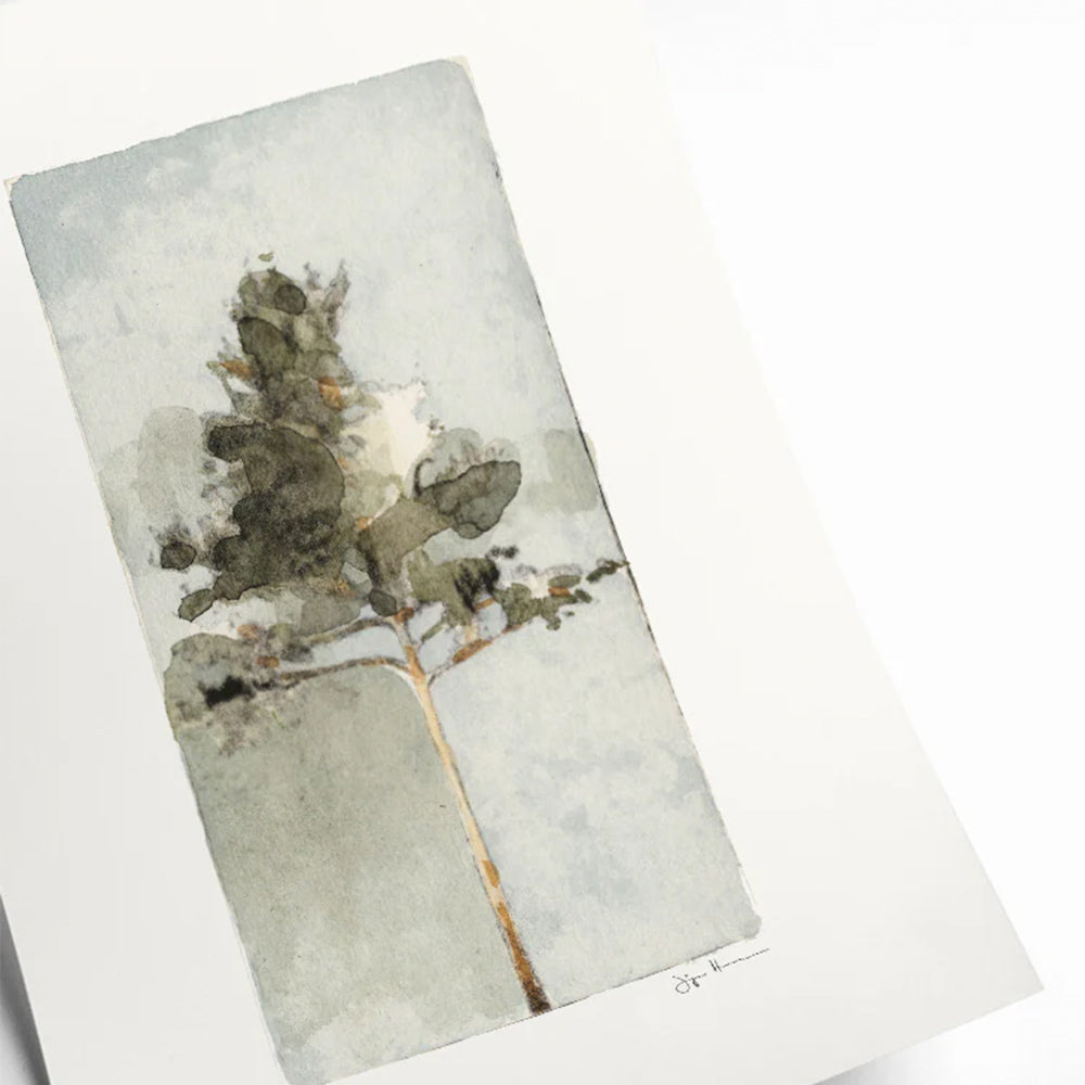 Druck - Pine I
