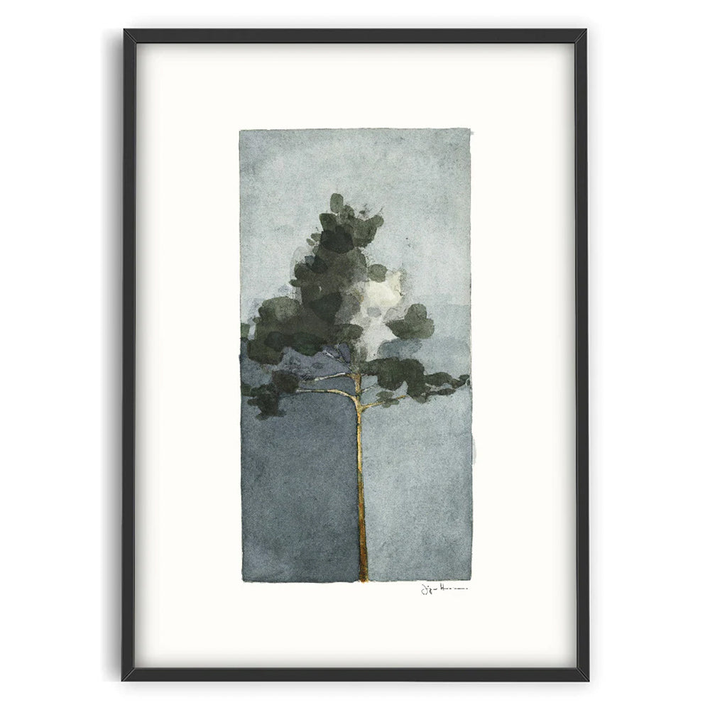 Druck - Pine II