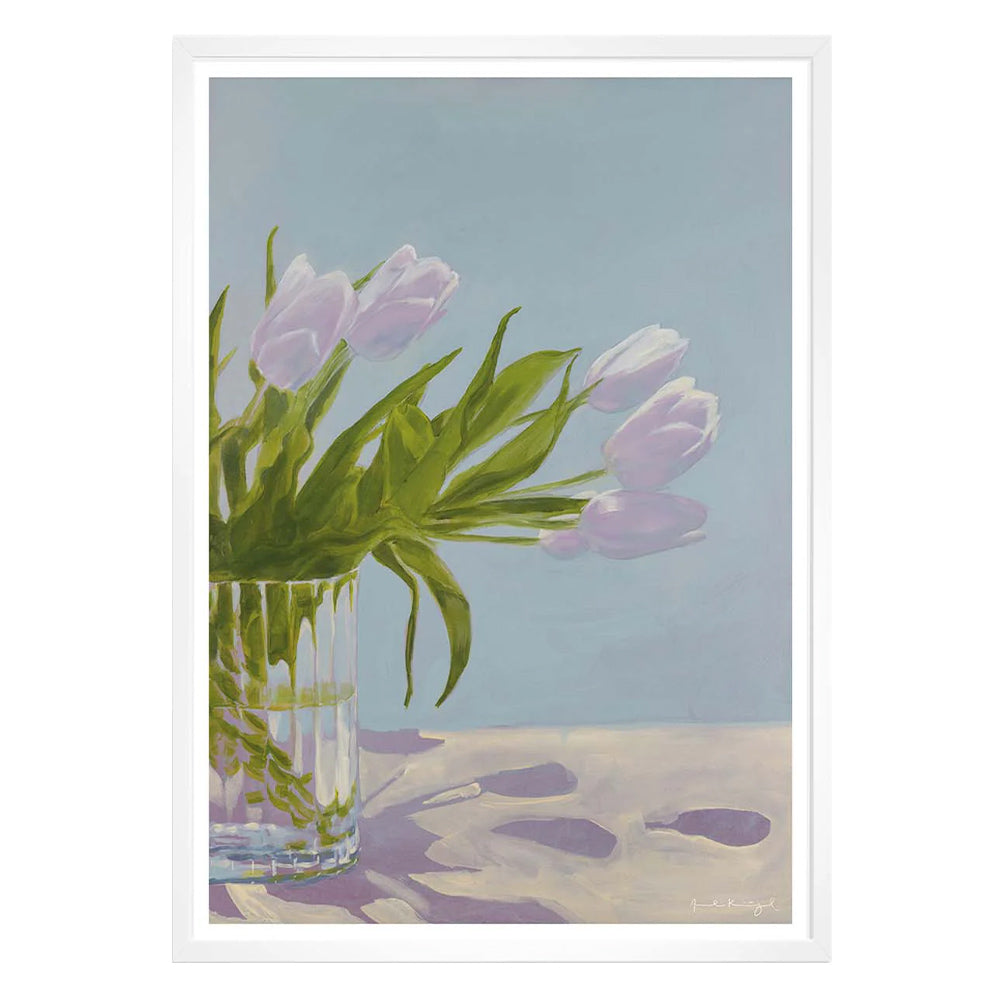 Druck - Tulipaner