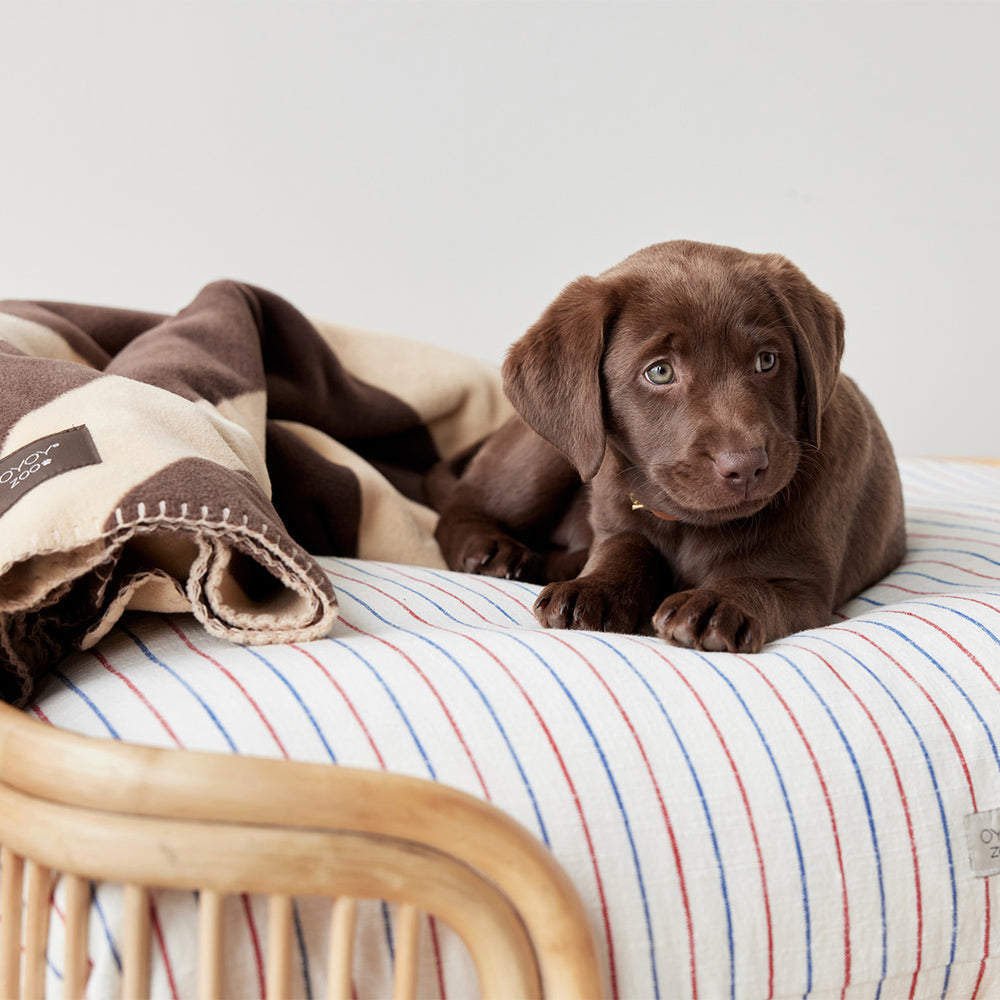 Hundedecke Kaya Medium - in versch. Farben