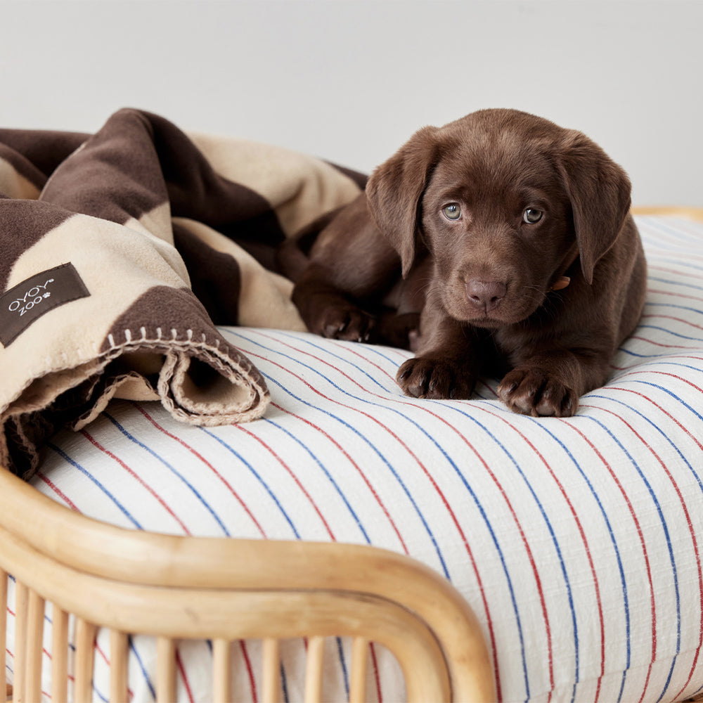 Hundedecke Kaya Medium - in versch. Farben