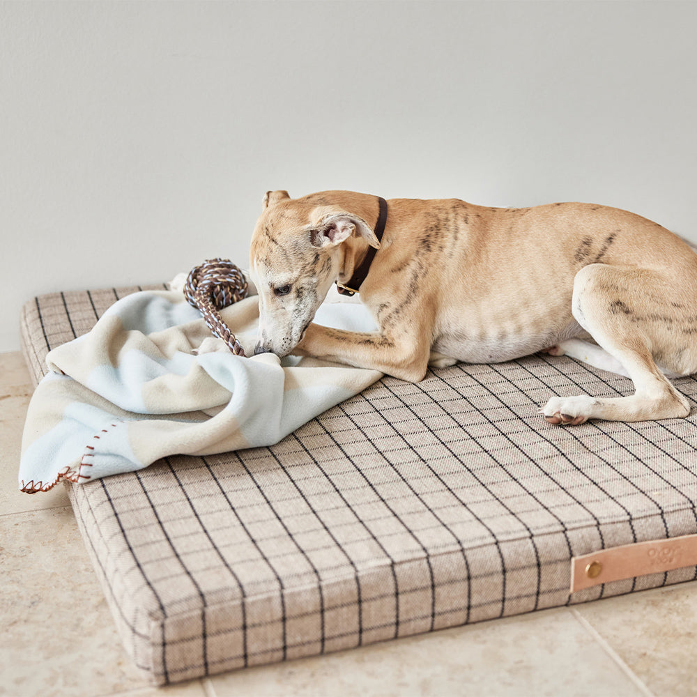 Hundedecke Kaya Medium - in versch. Farben