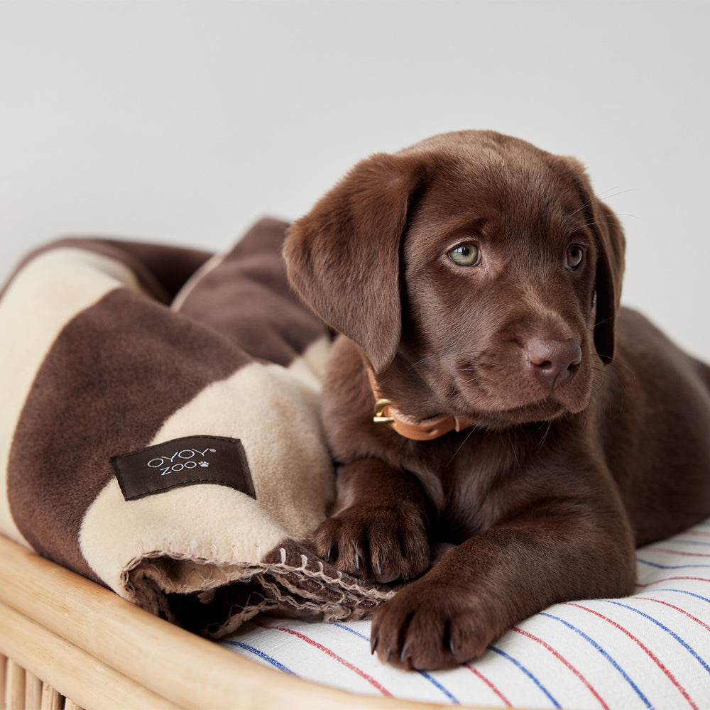 Hundedecke Kaya Large - in versch. Farben