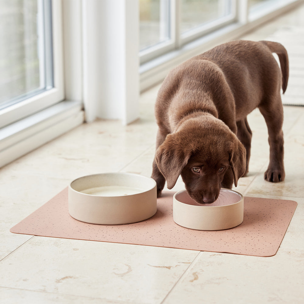 Hundenapf Sia 1500 ml - in versch. Farben