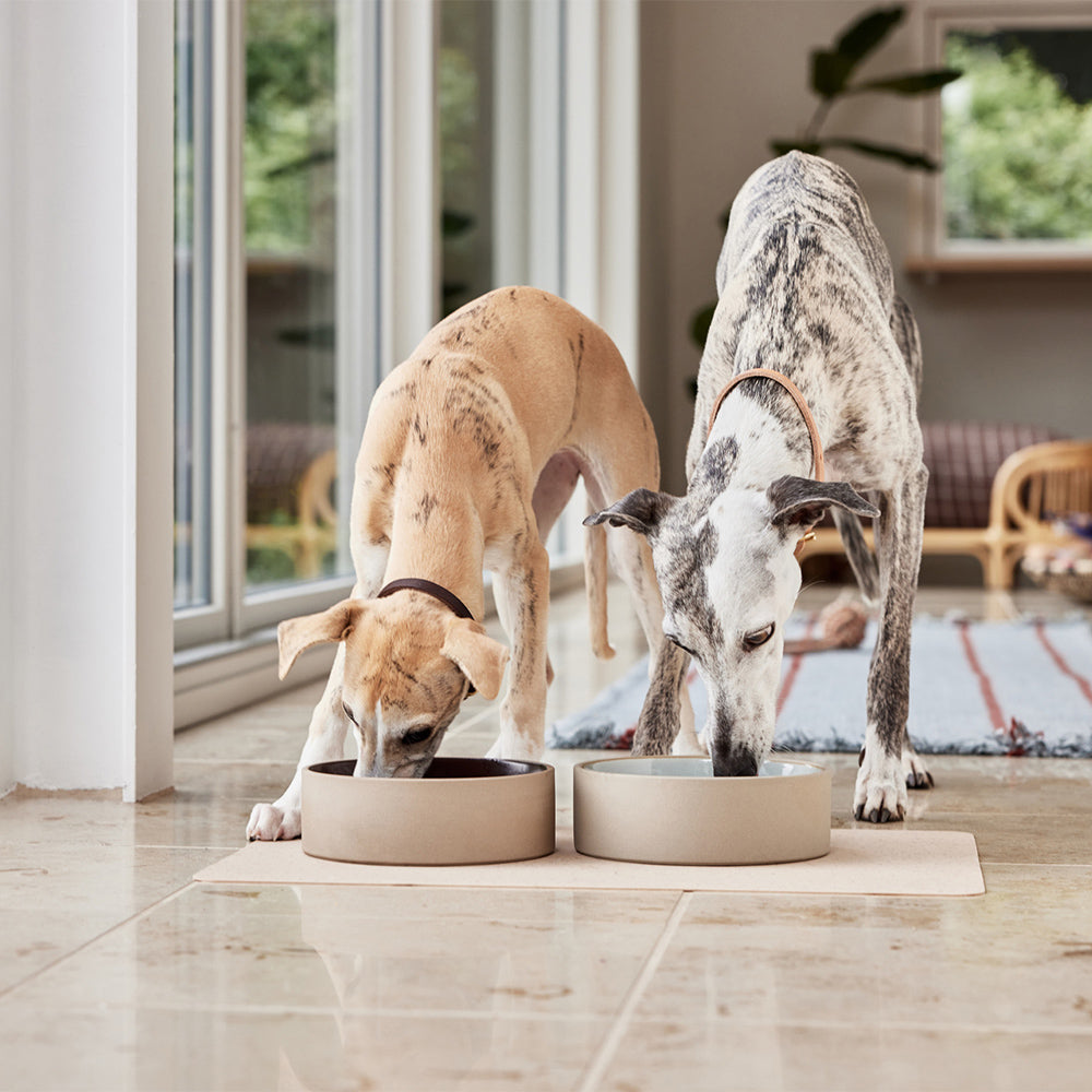 Hundenapf Sia 1500 ml - in versch. Farben