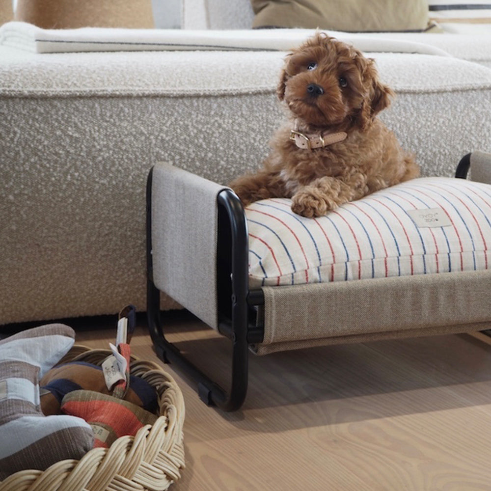 Hundebett Milo Medium - in versch. Farben
