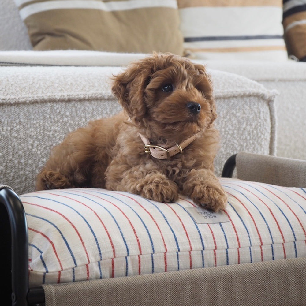 Hundebett Milo Medium - in versch. Farben