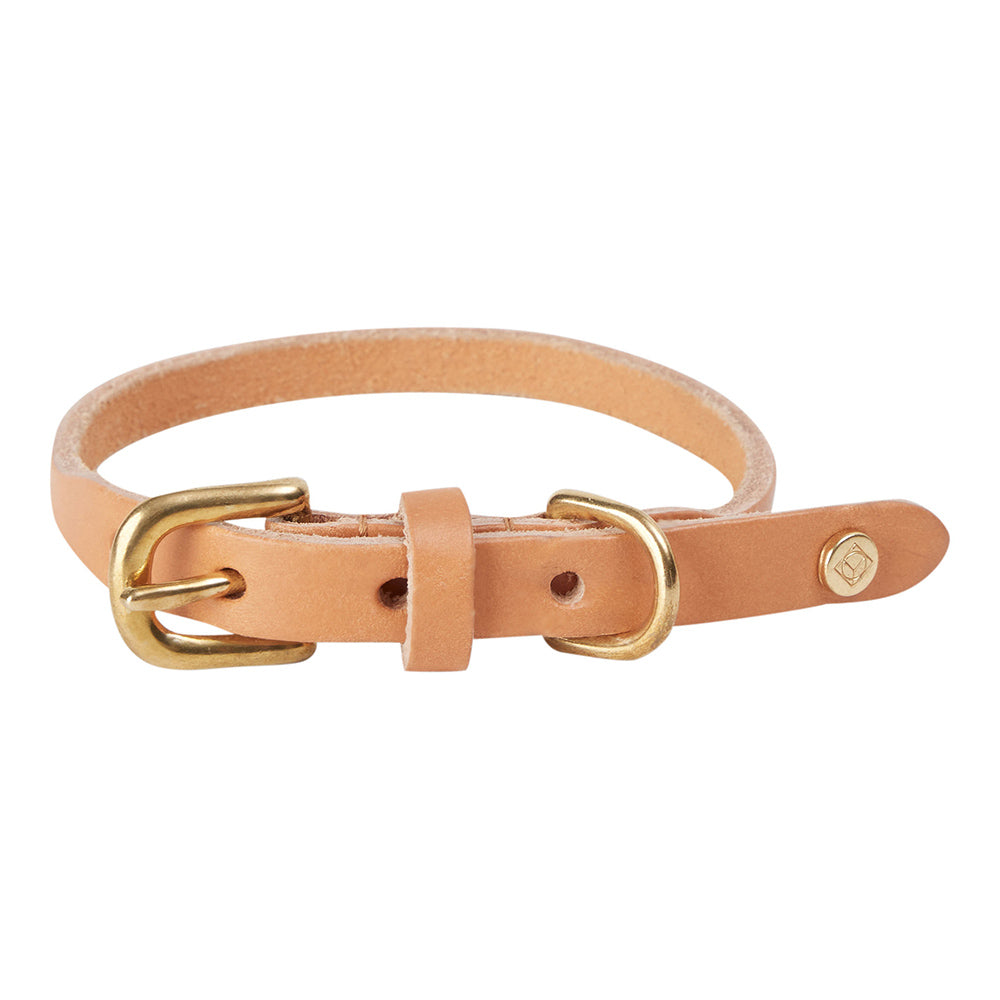Hundehalsband Robin Small - in versch. Farben