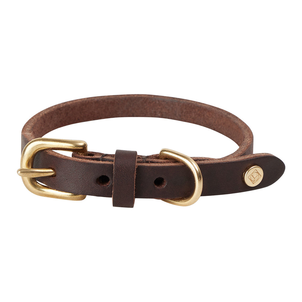 Hundehalsband Robin Small - in versch. Farben