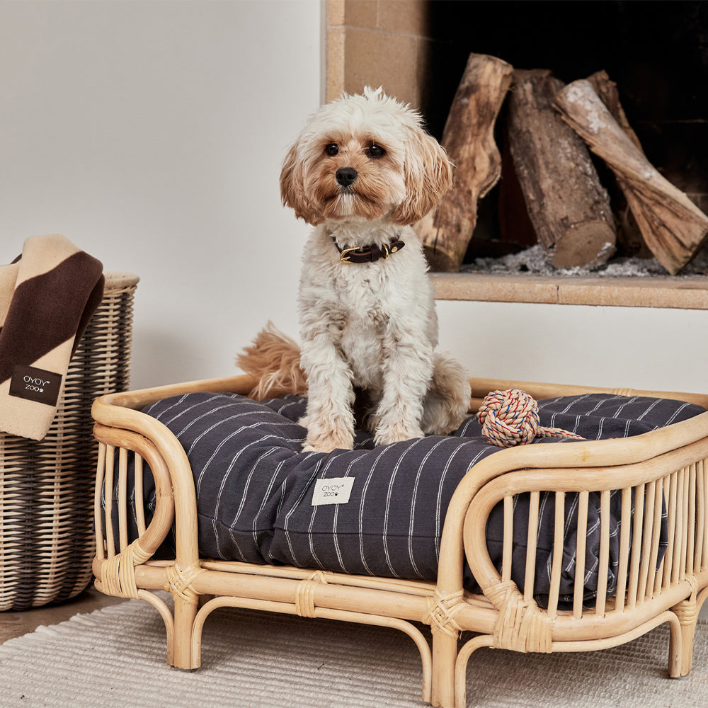 Hundehalsband Robin Small - in versch. Farben