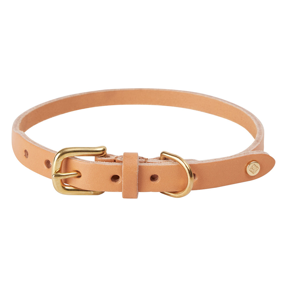 Hundehalsband Robin Medium - in versch. Farben