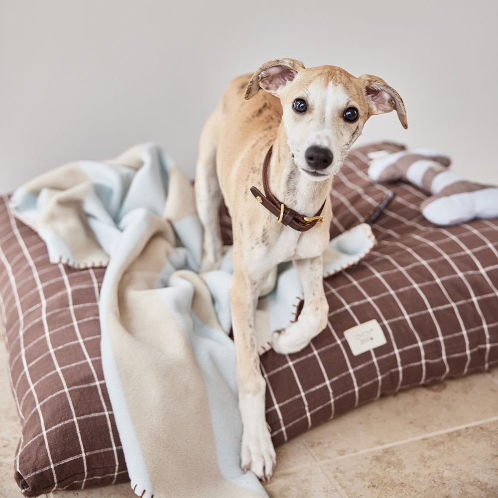 Hundehalsband Robin Medium - in versch. Farben