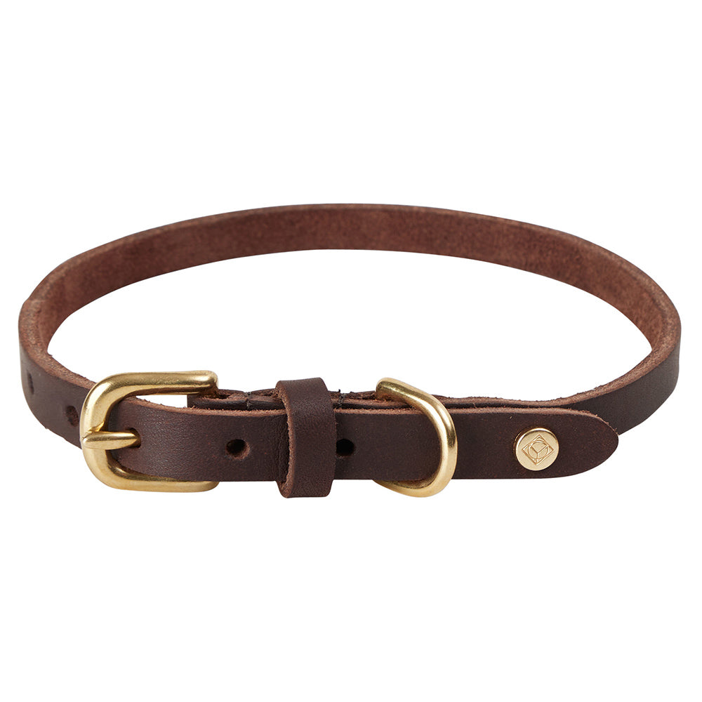 Hundehalsband Robin Large - in versch. Farben