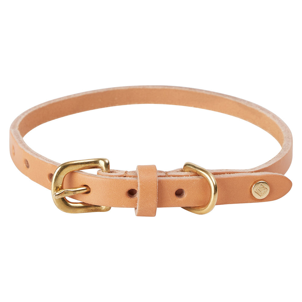 Hundehalsband Robin Large - in versch. Farben