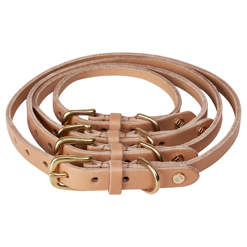 Hundehalsband Robin Large - in versch. Farben