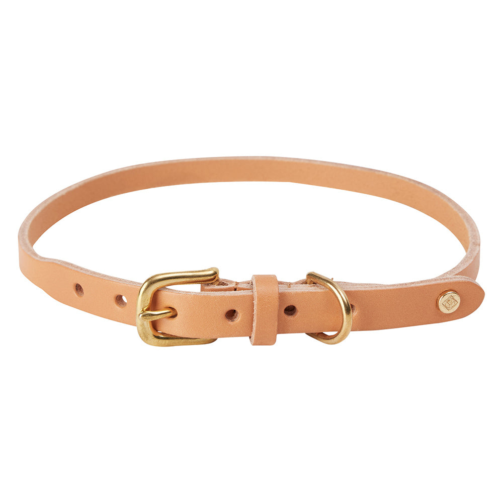 Hundehalsband Robin Extra Large - in versch. Farben