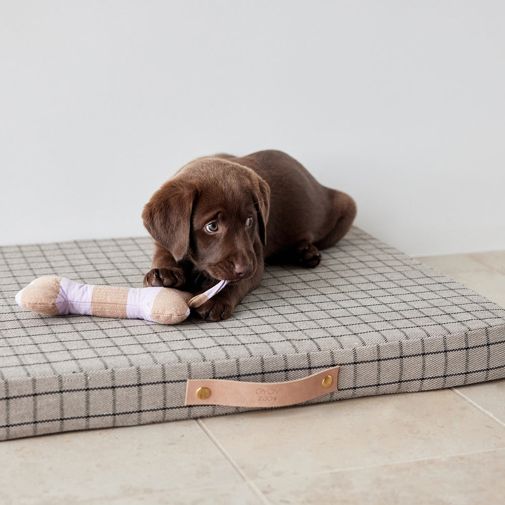 Hundeknochen Ashi Small - in versch. Farben