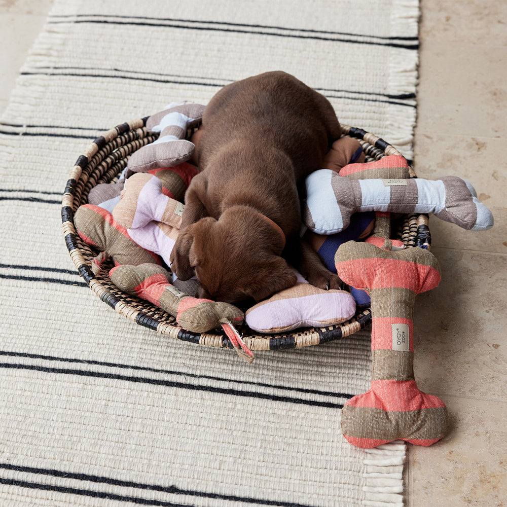 Hundeknochen Ashi Small - in versch. Farben