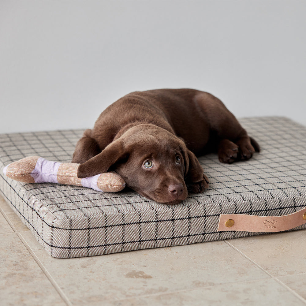 Hundeknochen Ashi Small - in versch. Farben