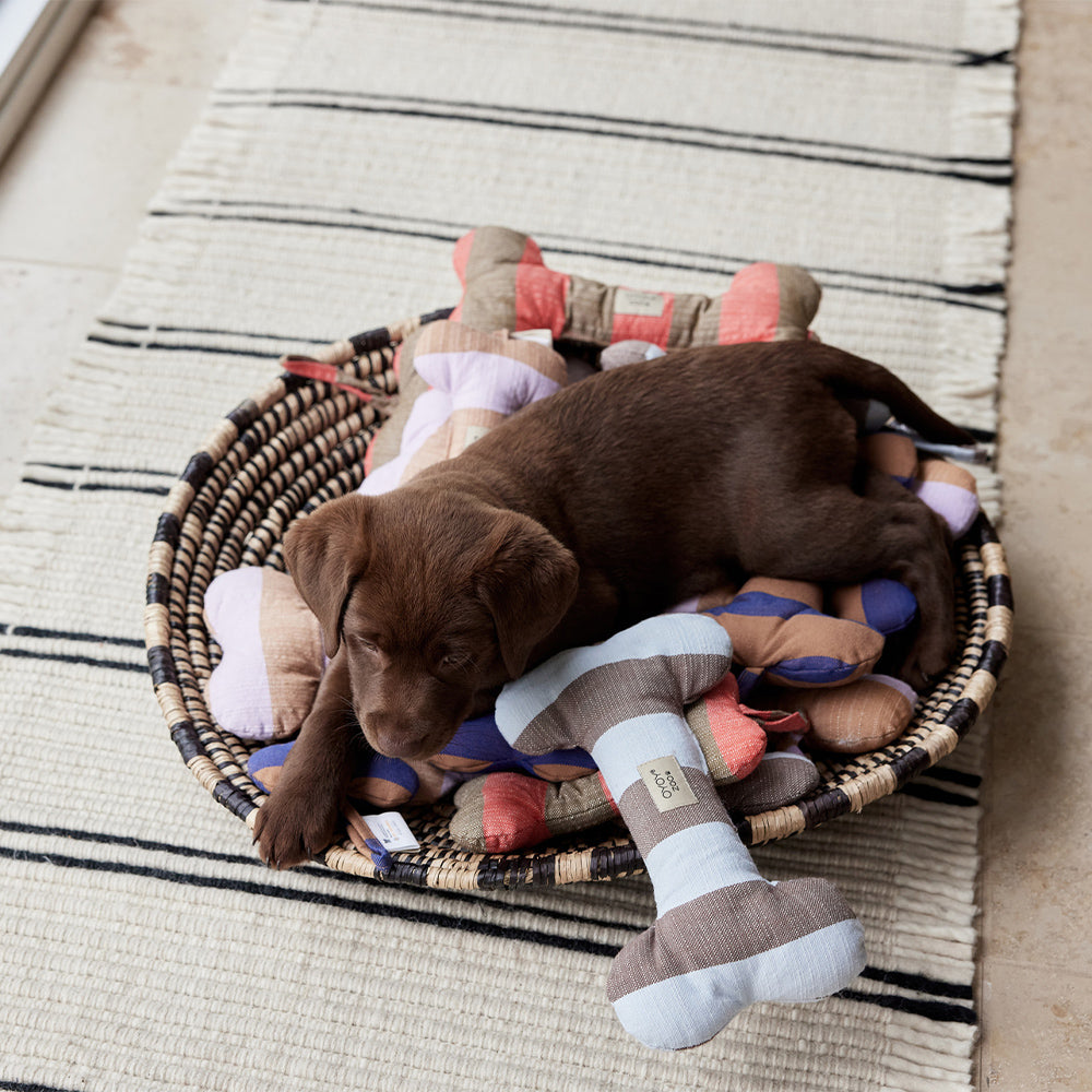 Hundeknochen Ashi Large - in versch. Farben