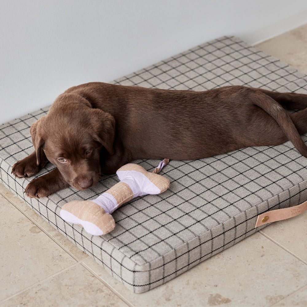 Hundeknochen Ashi Large - in versch. Farben