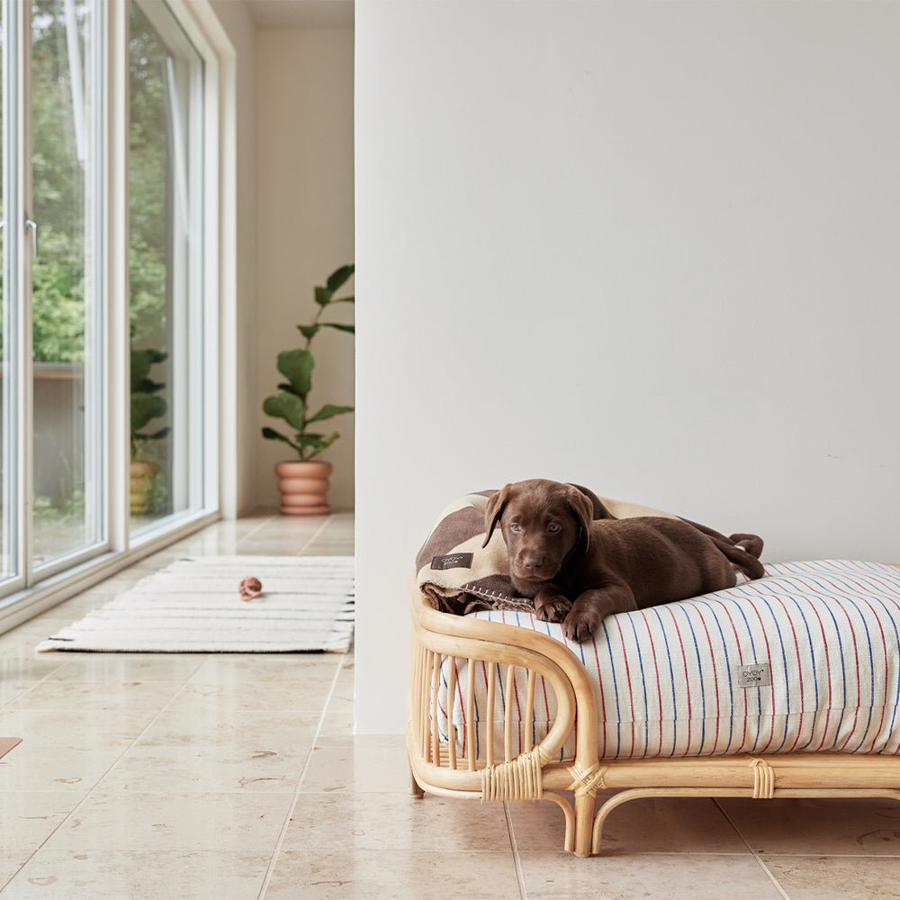 Hundebett Eight Medium - nature