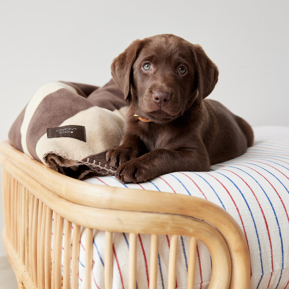 Hundebett Eight Medium - nature