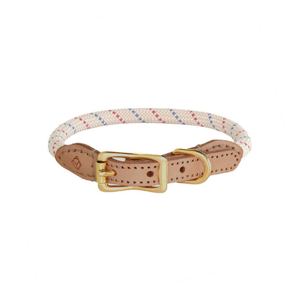 Hundehalsband Perry Small - in versch. Farben