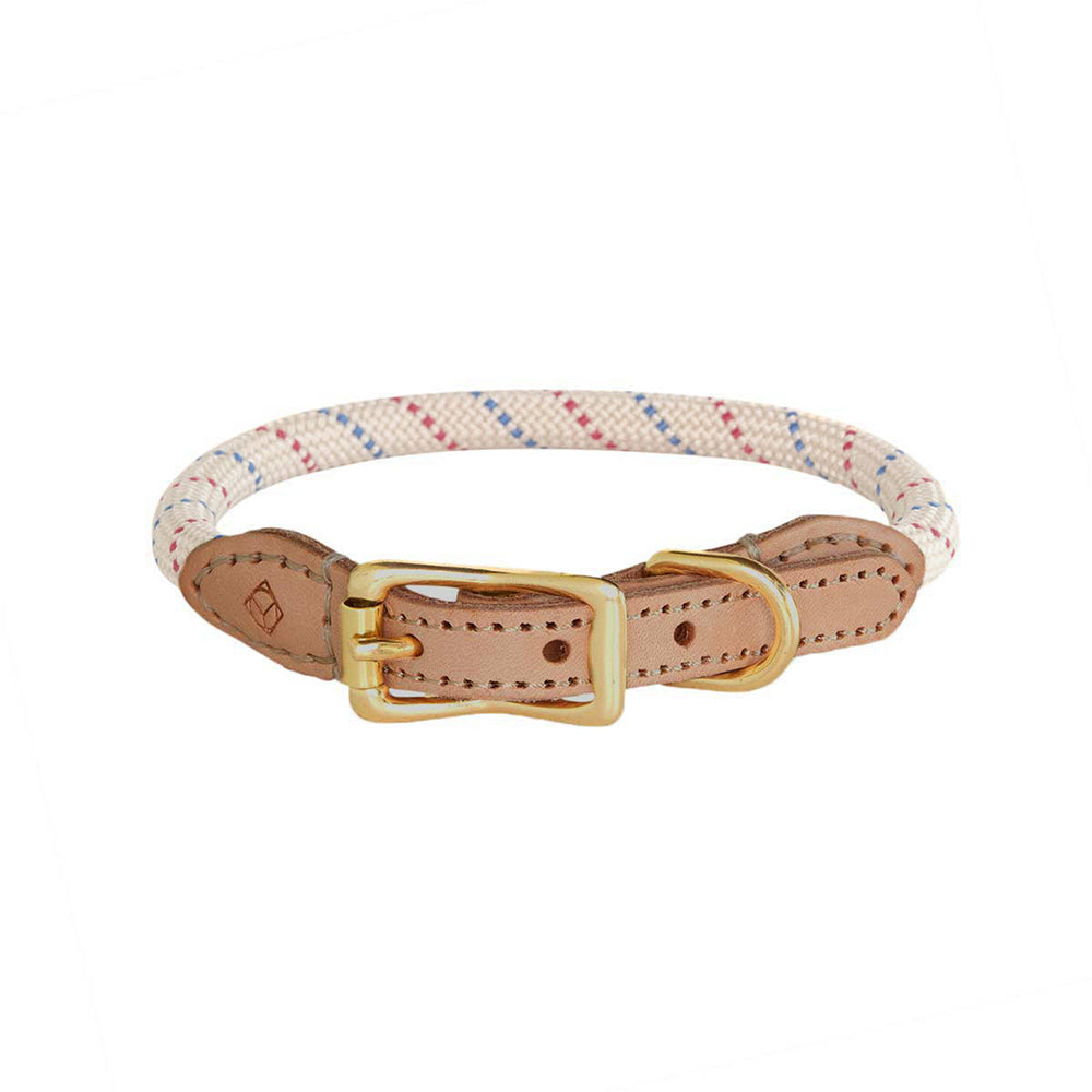 Hundehalsband Perry Medium - in versch. Farben