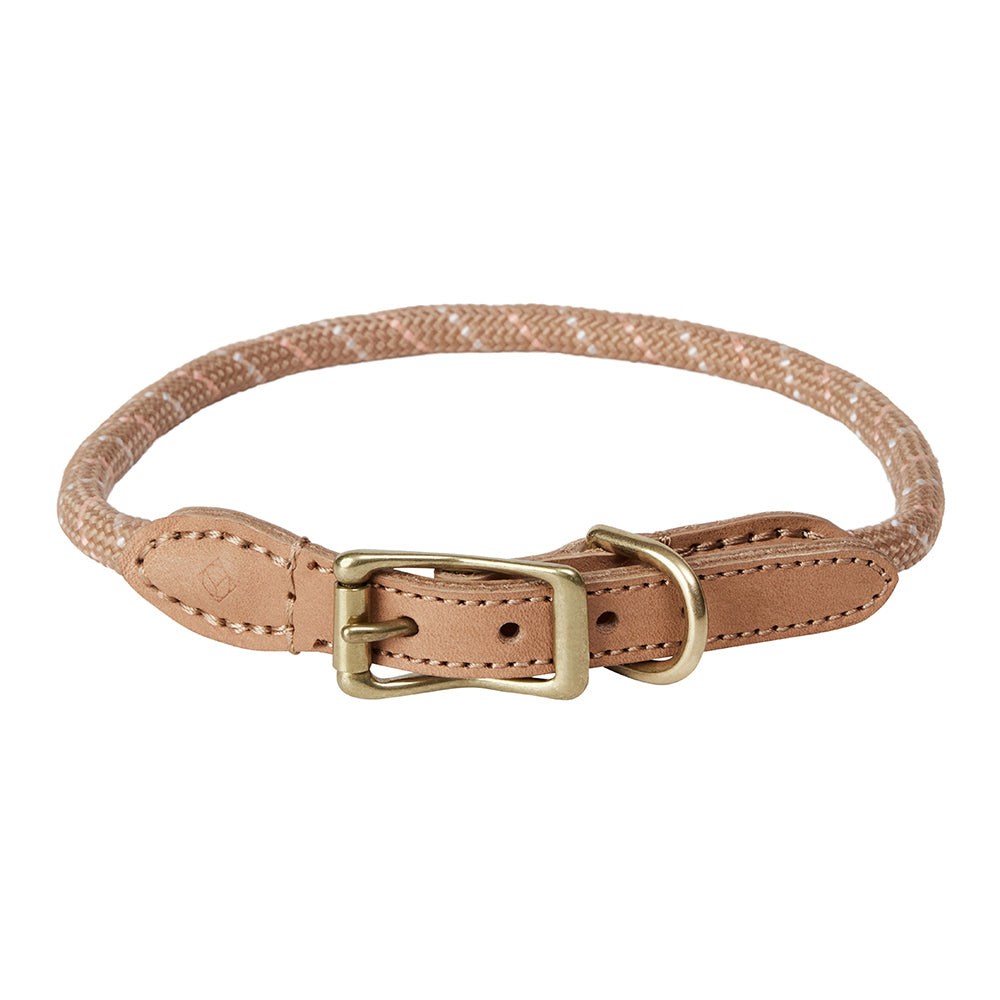 Hundehalsband Perry Large - in versch. Farben
