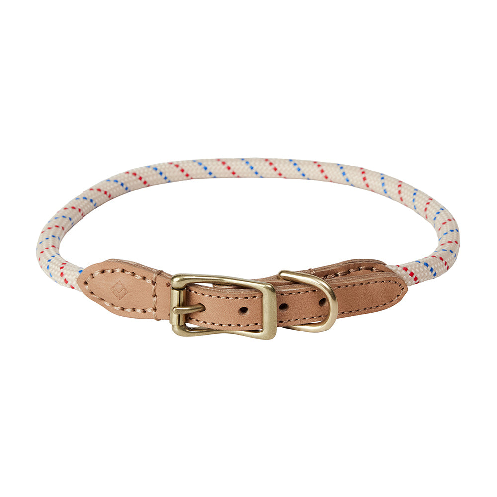 Hundehalsband Perry Large - in versch. Farben