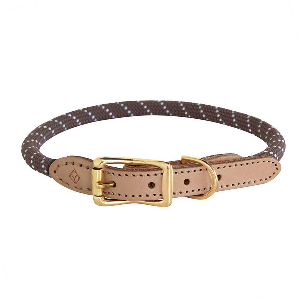 Hundehalsband Perry Large - in versch. Farben