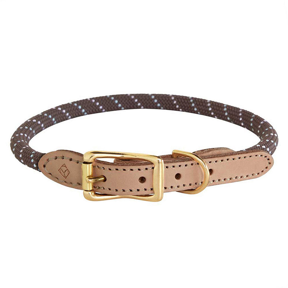 Hundehalsband Perry Extra Large - in versch. Farben