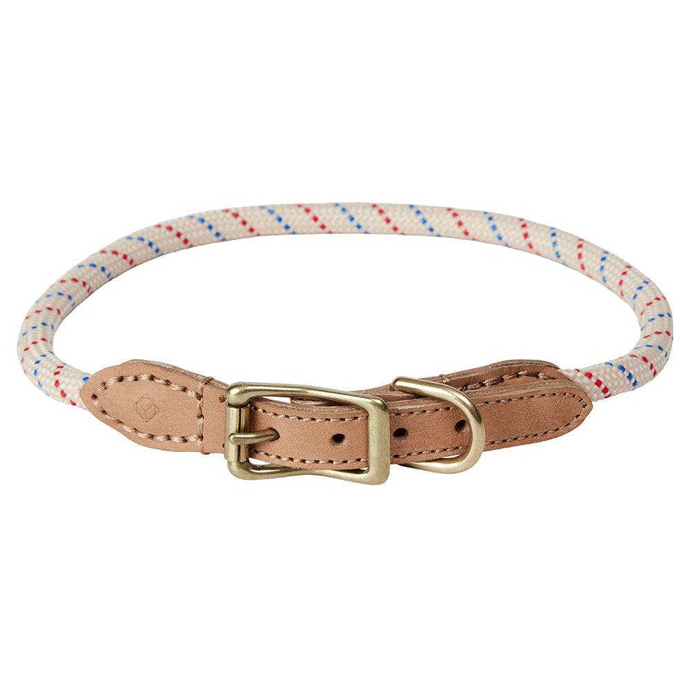 Hundehalsband Perry Extra Large - in versch. Farben