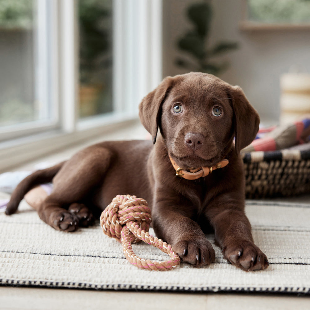 Baumwollknoten Otto - in versch. Farben