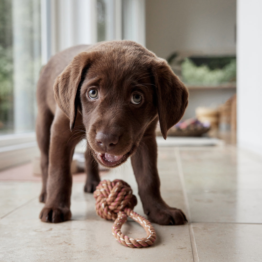 Baumwollknoten Otto - in versch. Farben